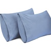 Light Gray Blue