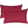 Dark Red